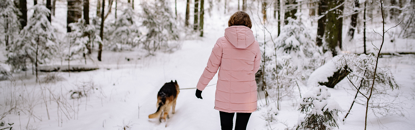 woman walking her leased dog through a snow laden forest