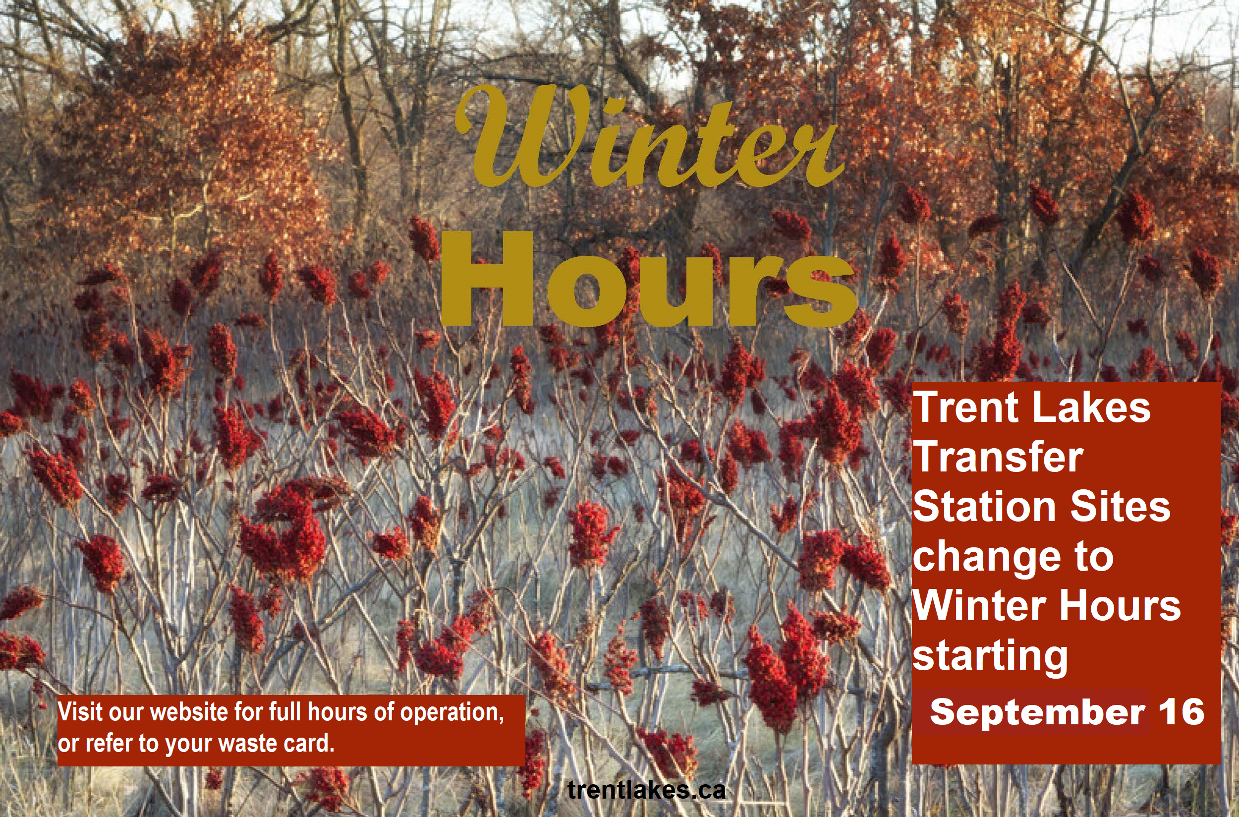 Winter Hours Image