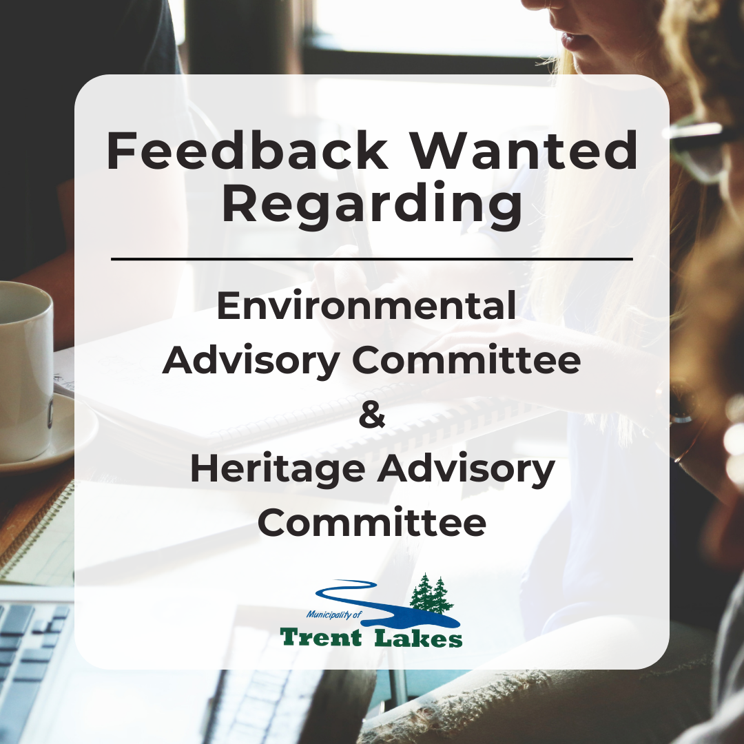 Feedback wanted regarding Environment and Heritage Advisory Committees.