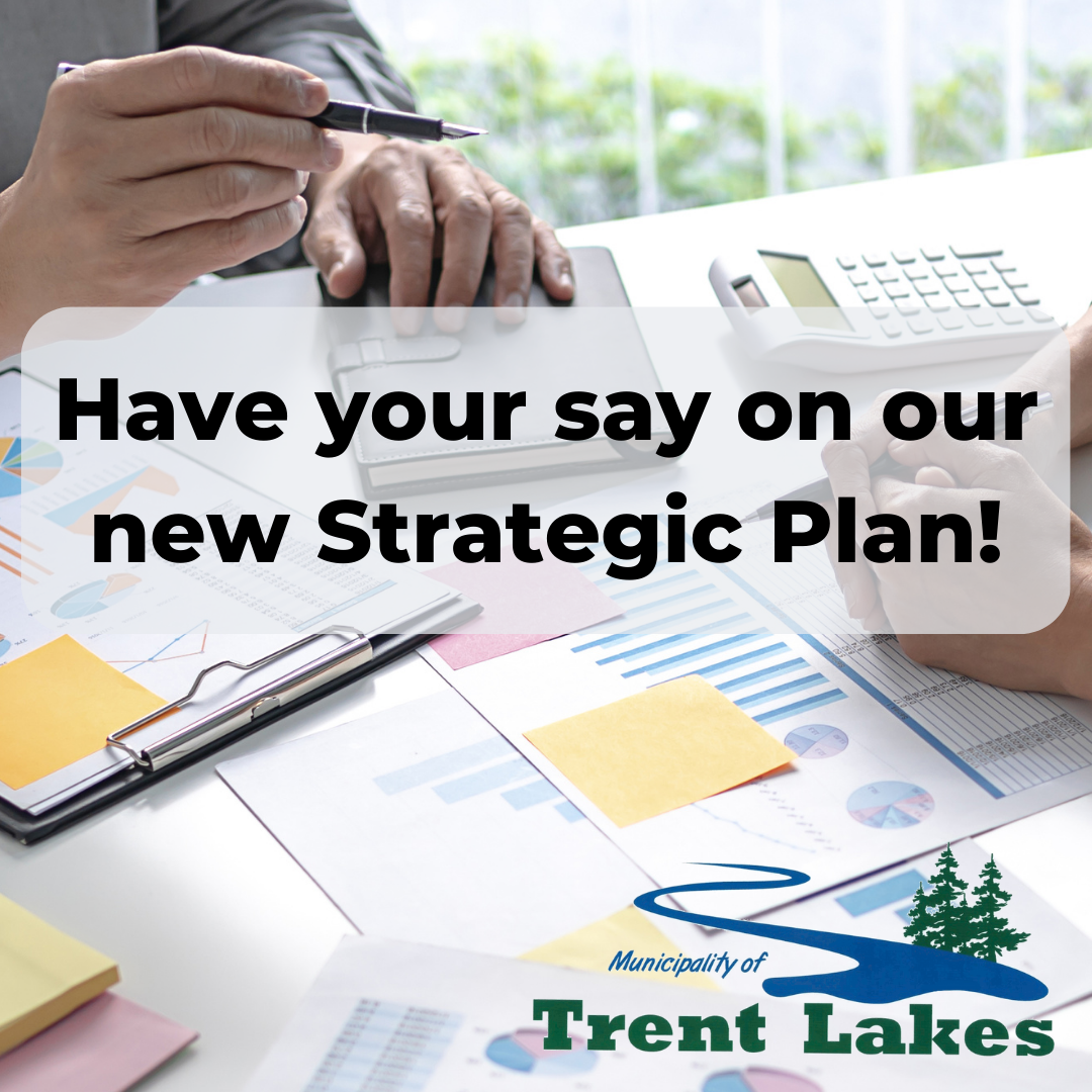 Provide input on our new Strategic Plan