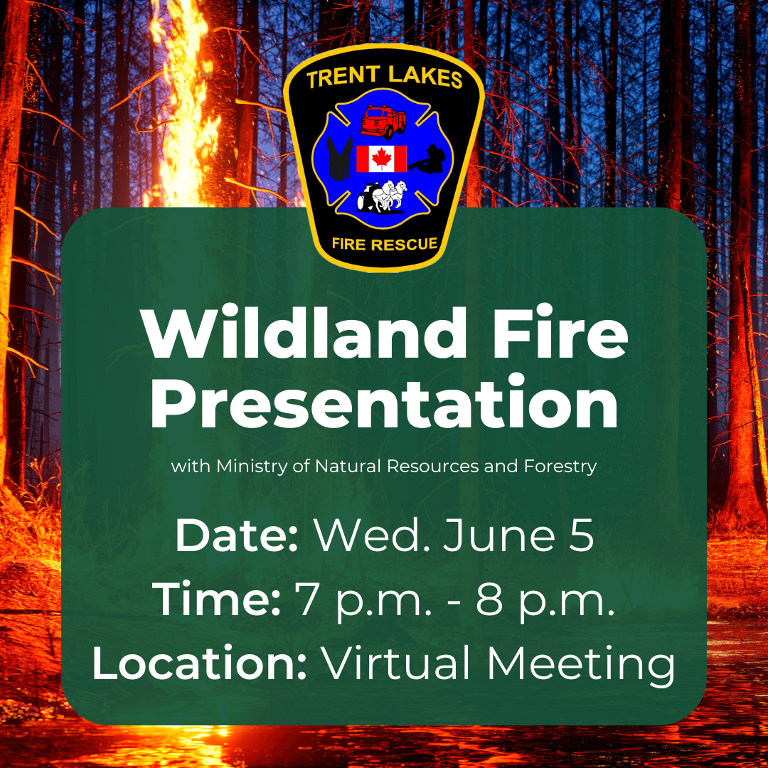 Image of forest fire. Text reads: wildland fire presentation with ministry of natural resources and forestry.