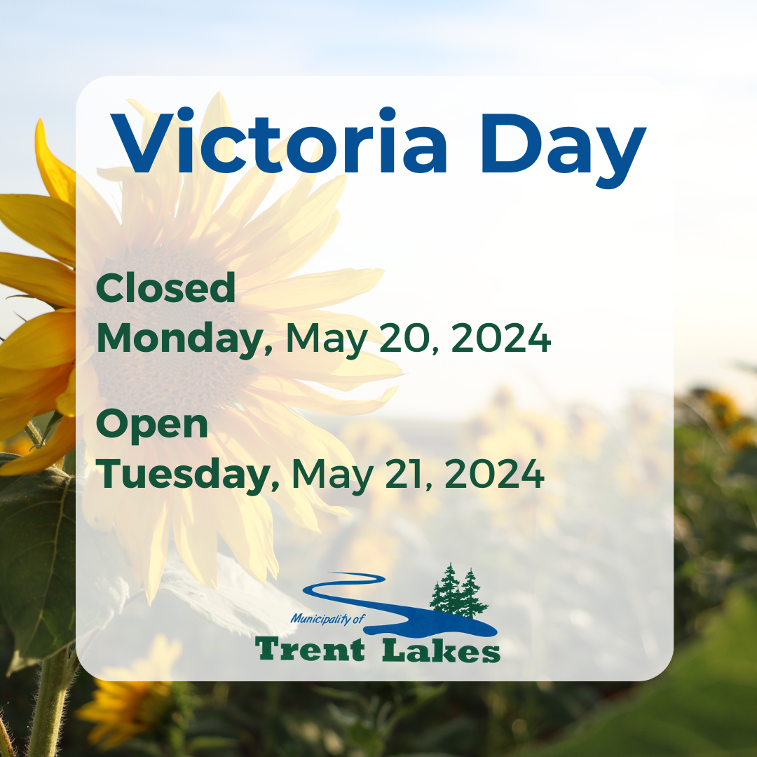 Image of sunflower field. Text reads: Victoria Day holiday hours.
