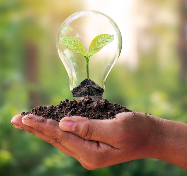 Gardener hand holding a growing seedling in a glass idea lightbulb